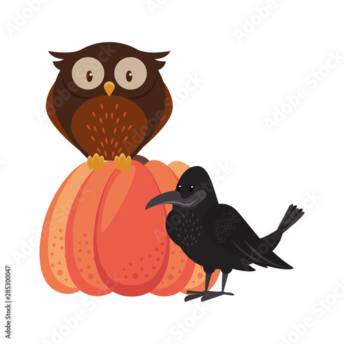 Photography Wild animals and elements thanksgiving day and autumn season