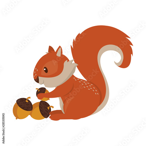 Squirrel eating nut cartoon animal