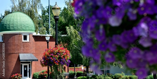 Colorful landscape of flower baskets on Campus.