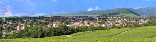 Panorama view of the city Müllheim, Baden