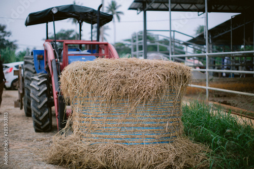 Hay in front of tractor