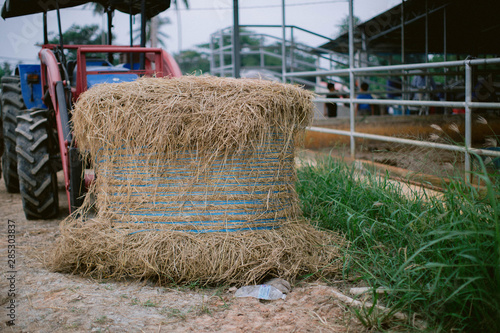 Hay in front of tractor