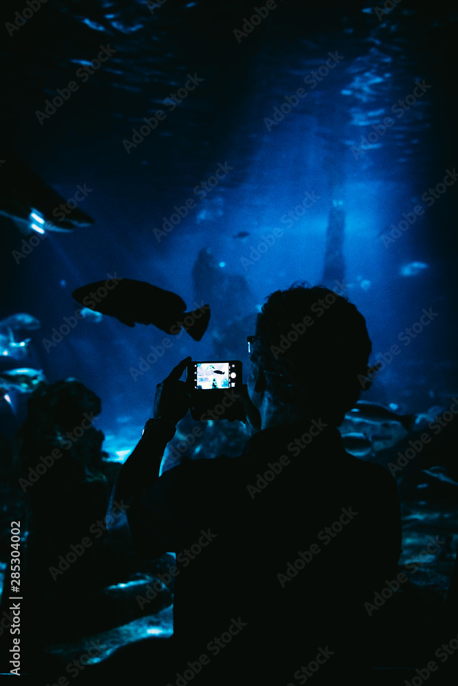 People taking photos in an aquarium