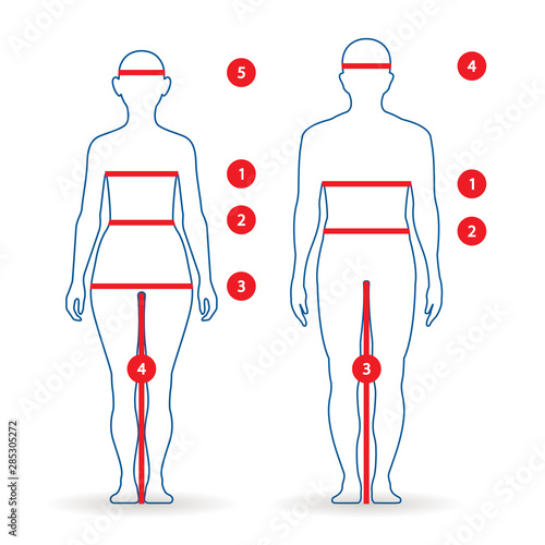 Body parameters man and women in full length