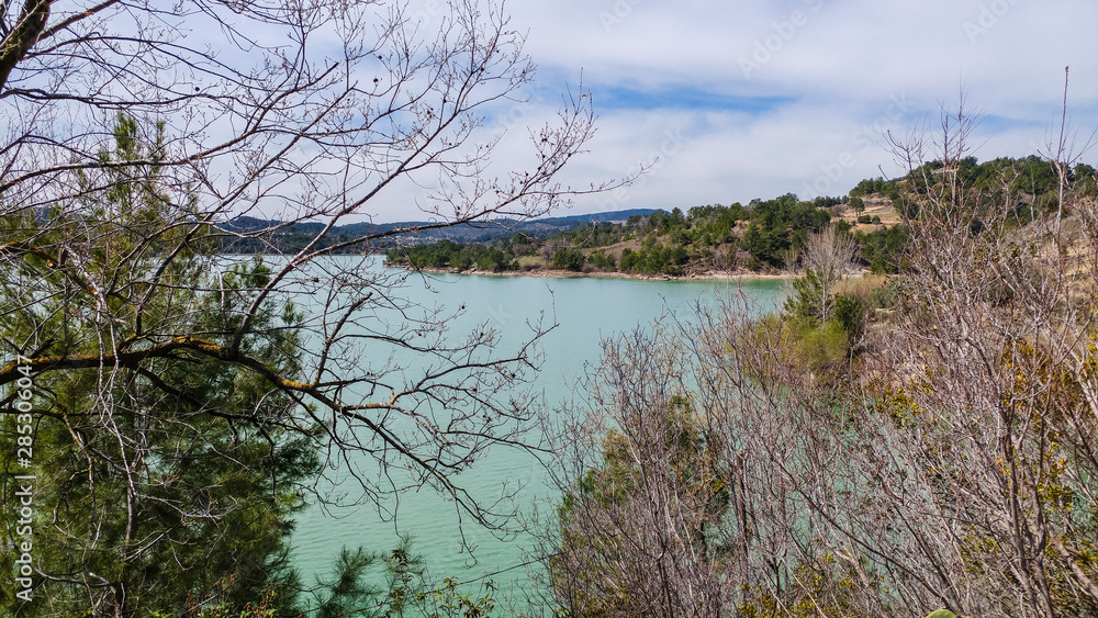 tree in the water - manavgat river tree in the water - manavgat river