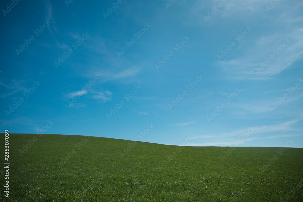 Minimalistic landscape green land and blue sky 