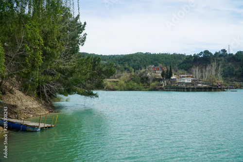 tree in the water - manavgat river