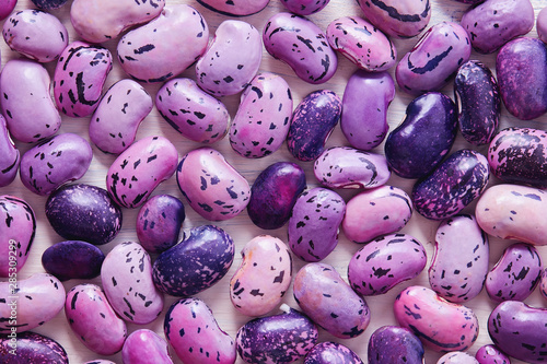Obraz na płótnie Scarlet Runner Bean