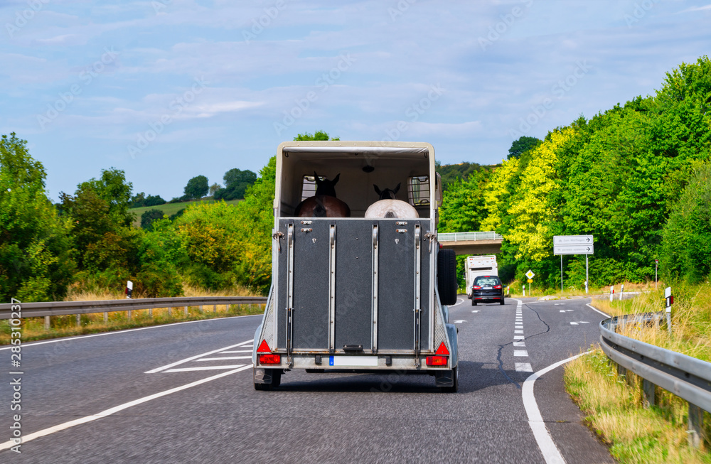 Fototapete Car with horse trailer on road
