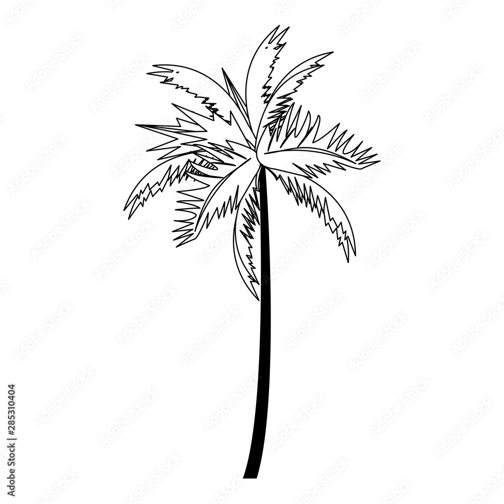 Obraz premium tropical summer relax holiday cartoon in black and white