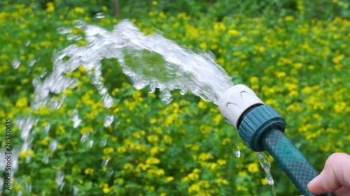 Watering flowers in garden. Hand holds a garden hose pipe.