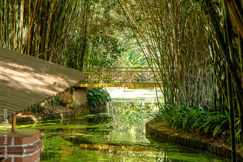 Bridge to the Woods