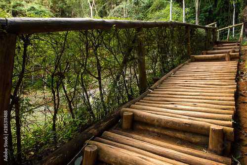 Wood Pathway