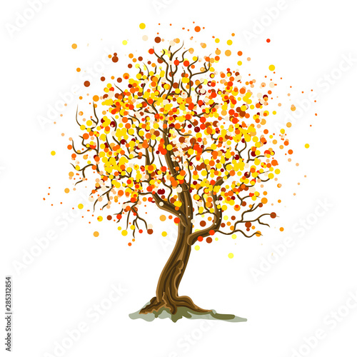 autumn tree