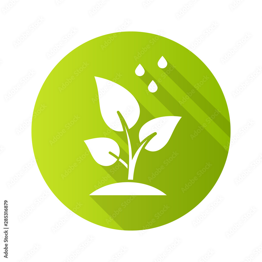 Trees planting flat design long shadow glyph icon. Reforestation volunteer project. Small plant and water drops. Care of young seedling. Forestry. Social activity. Vector silhouette illustration Trees planting flat design long shadow glyph icon. Reforestation volunteer project. Small plant and water drops. Care of young seedling. Forestry. Social activity. Vector silhouette illustration