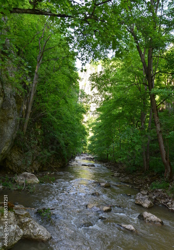 Varghis canyon - Romania