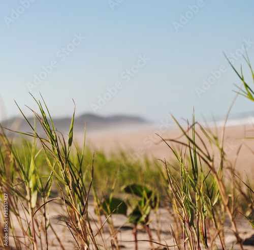 South African beach