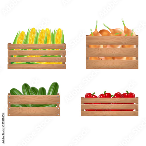 Realistic Detailed 3d Vegetables Wooden Box Set. Vector