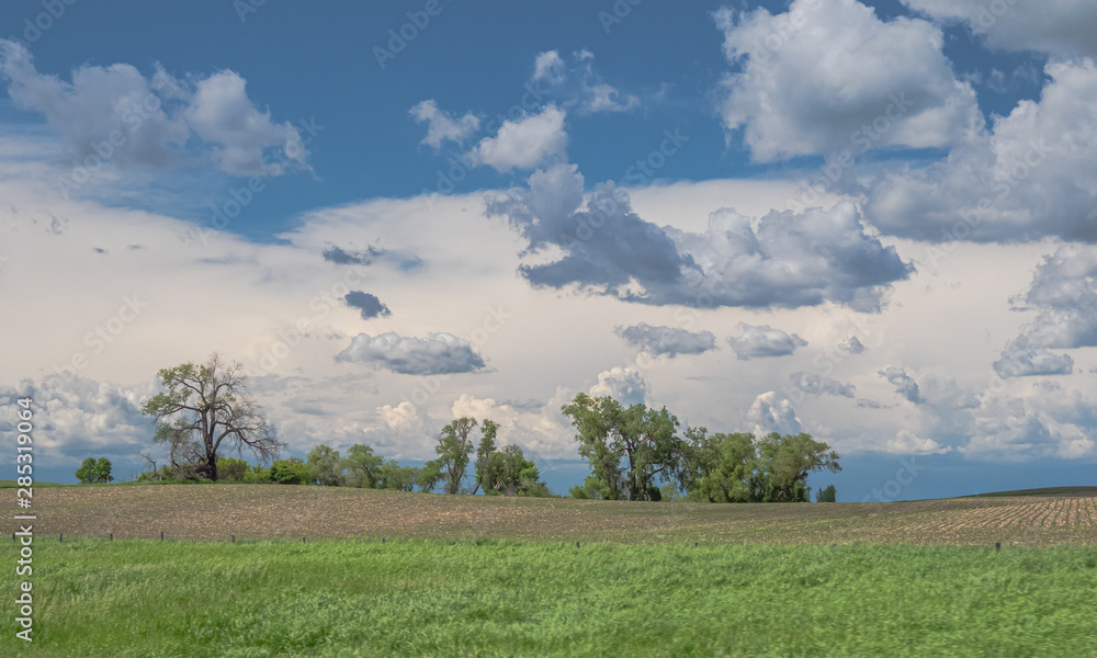 Obraz premium Panoramic horizontal agricultural landscape with grass, fence, field, and trees under a sky beginning to fill with clouds.