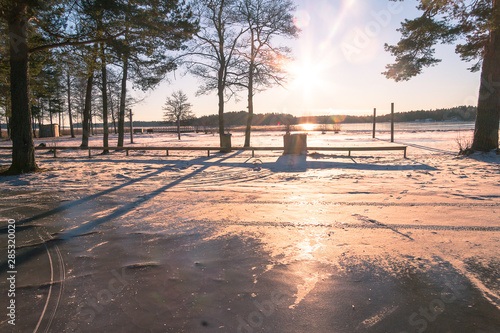 winter landscape in Sweden during the evening light  sunny day  Pine trees.