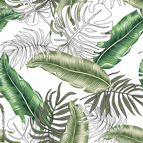 Tropical green banana, monstera palm leaves, white background. Vector seamless pattern. Graphic illustration. Exotic jungle plants. Summer beach floral design. Paradise nature