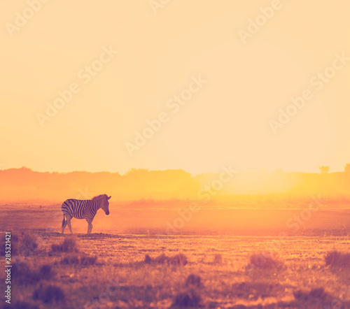 Africa Sunset Landscape