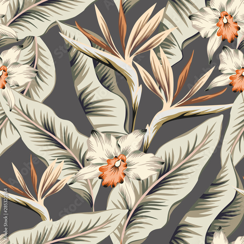 Tropical strelitzia, orchid flowers, banana palm leaves, gray background. Vector seamless pattern. Jungle foliage illustration. Exotic plants. Summer beach floral design. Paradise nature