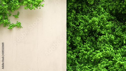 Summer banner, tree and leaves. 3d illustration, 3d rendering. © Pierell