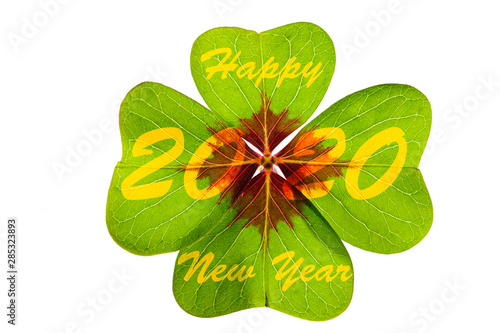 Happy new year 2020 with clover leaf