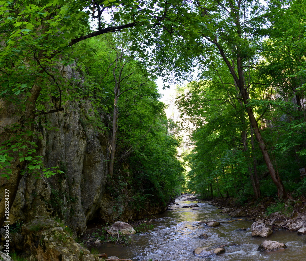 Varghis canyon - Romania