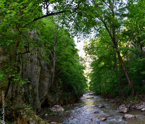 Varghis canyon - Romania