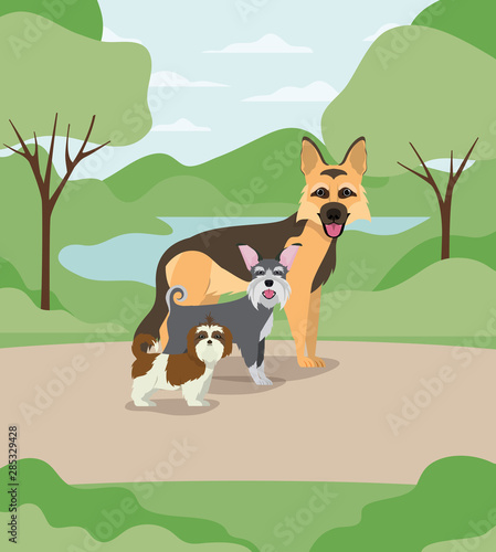 group of dogs pets in the camp characters