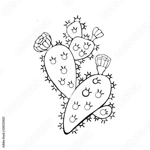 Cactus with colors black and white in the vector. Opuntia. Hand drawn illustration. Vector branch contour of Indian Fig prickly pear, prickly pear cactus isolated on white background.