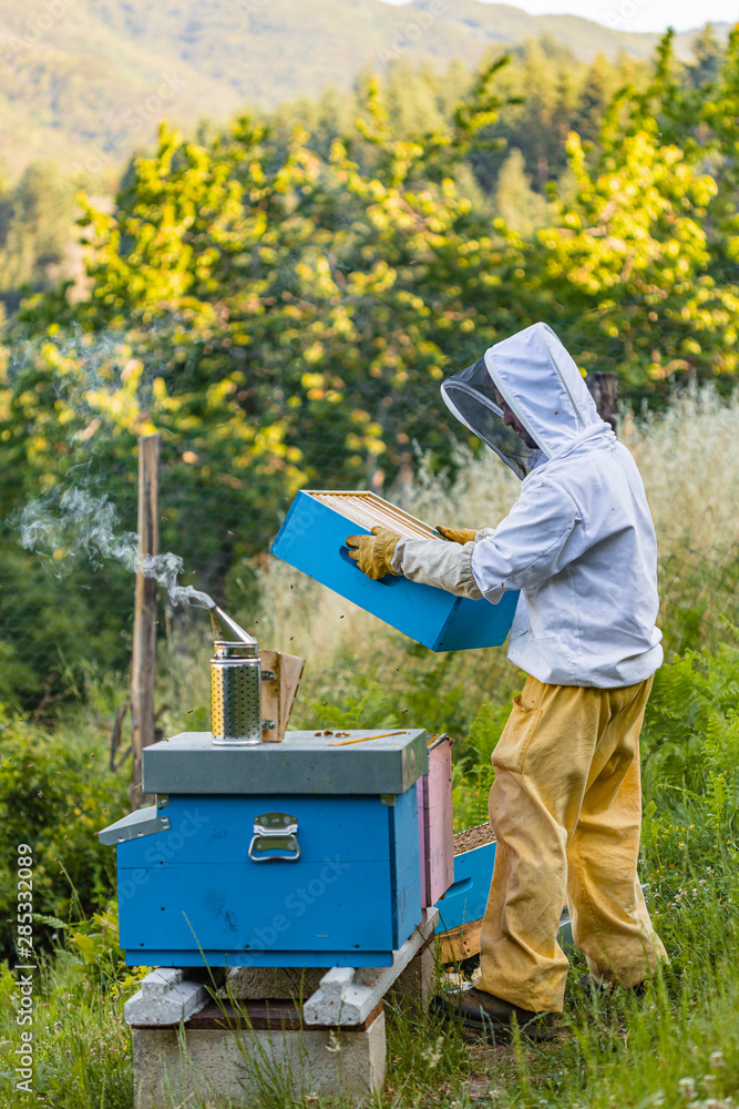 Beekeeper with honeycombs and smoker Beekeeper with honeycombs and smoker