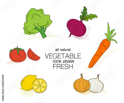 Set of vegetables organic handdrawn with brush stroke.