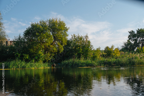 Fototapeta Naklejka Na Ścianę i Meble -  Landscape of nature series. Sunset time on the river.