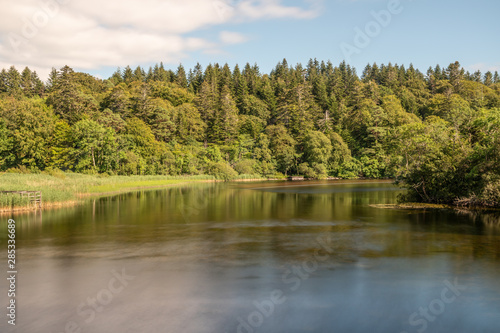 River and forest with reflections