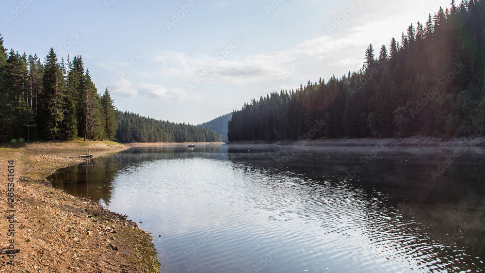 Fototapeta premium Beautiful panorama river in the forest 
