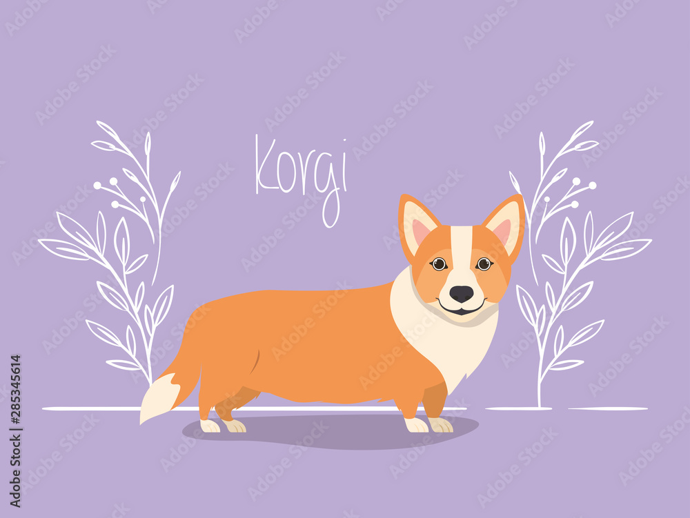 cute korgi dog pet character