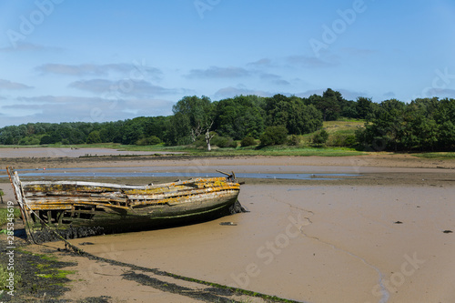 An old wooden ship that has been wreaked and moored in the river to create a habitat for local animals