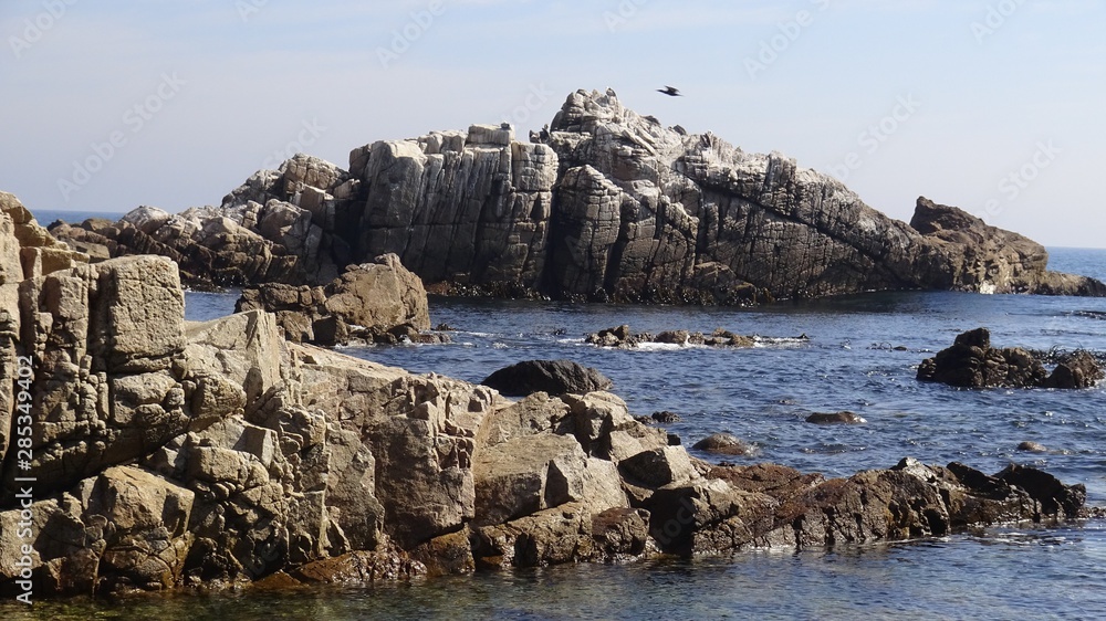 landscape of rocky beach and nature