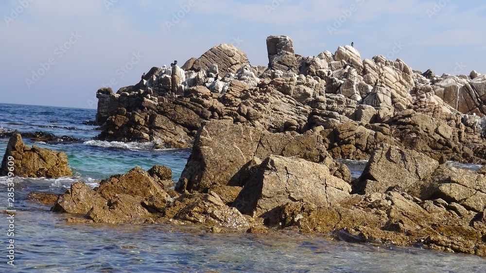 landscape of rocky beach and nature