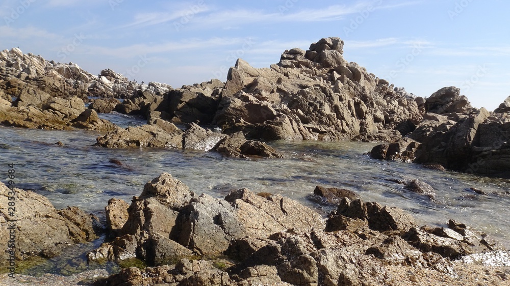 landscape of rocky beach and nature