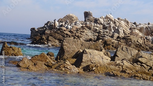 landscape of rocky beach and nature © Alex