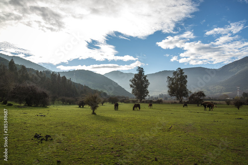 Valle y montañas