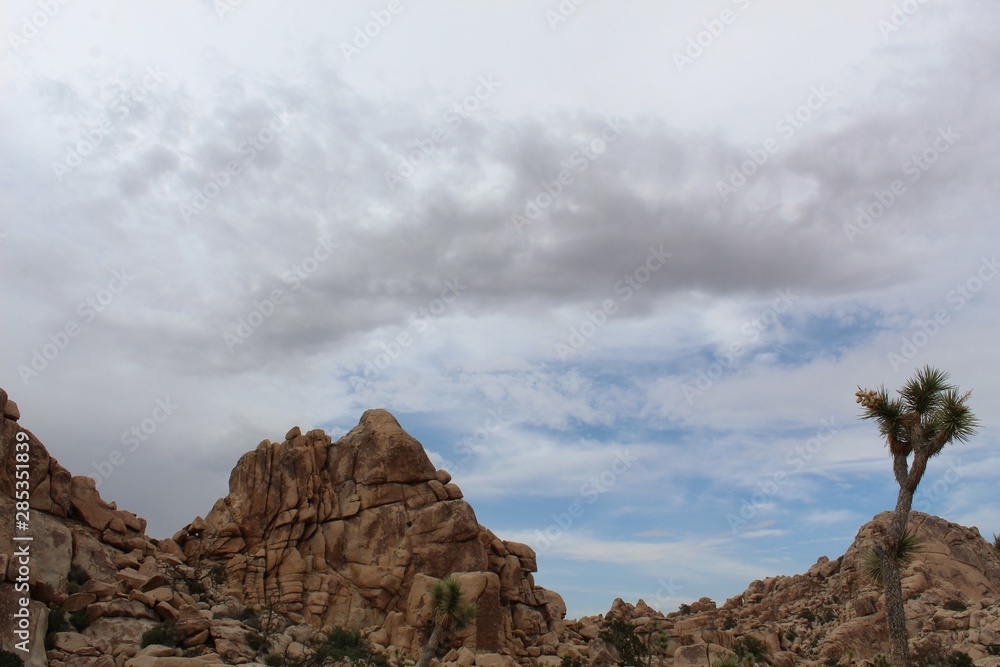 Marked by Summer rainfall in the Little San Bernardino Mountains, monsoon weather to the Southern Mojave Desert gathers above native plants in Joshua Tree National Park.