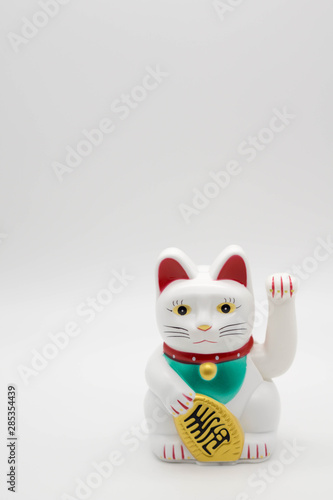 white fotune cat on isolated white background with copy space photo