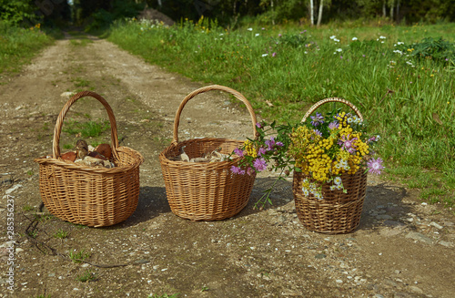 Three baskets of mushrooms and flowers on the road against the forest.