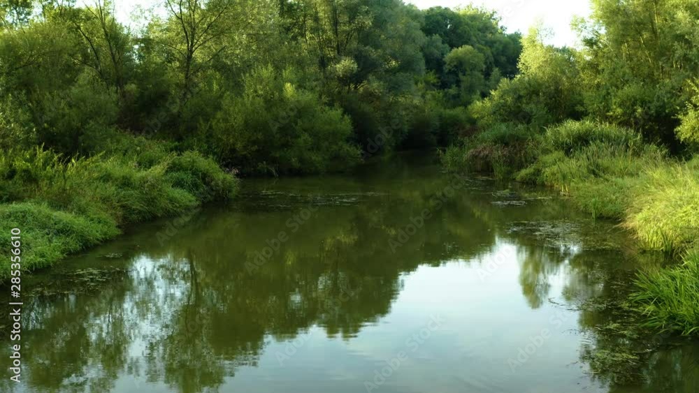 Flooded forest with pond and swamp Flooded forest with pond and swamp