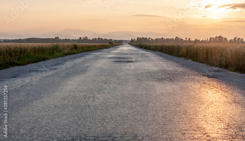 damaged asphalt road to horizon between wheat fields